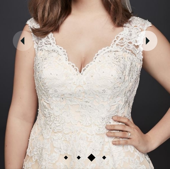 Ivory/Champagne V-neck Scalloped Lace Wedding Dress - Picture 3 of 12